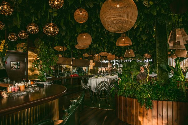 Figuière: exploration de ce célèbre domaine de la côte de provence