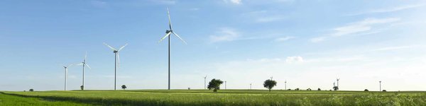 Quelles sont les alternatives au sucre blanc ?